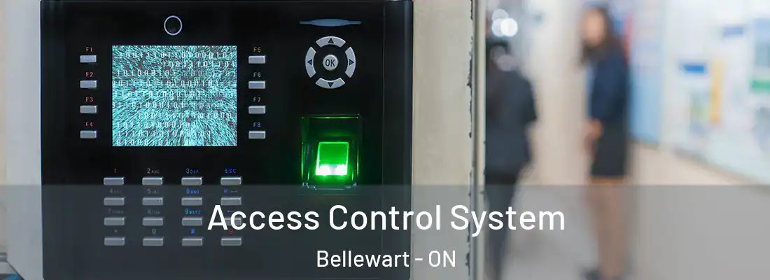  Access Control System Bellewart - ON