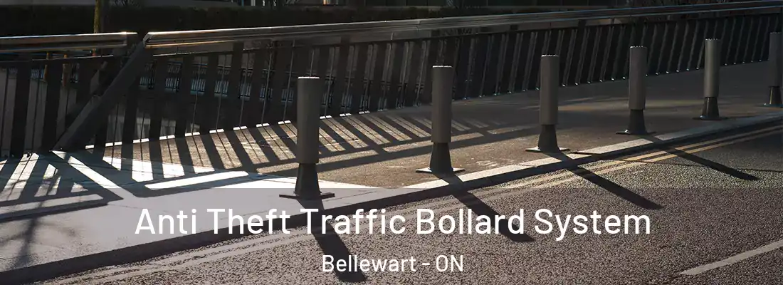  Anti Theft Traffic Bollard System Bellewart - ON