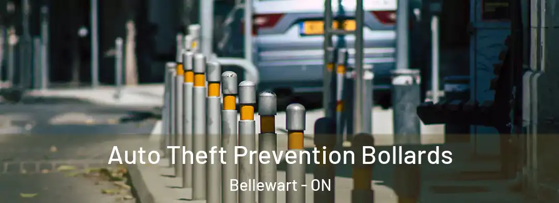  Auto Theft Prevention Bollards Bellewart - ON