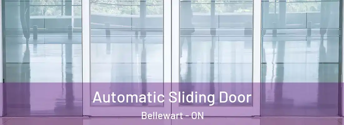  Automatic Sliding Door Bellewart - ON
