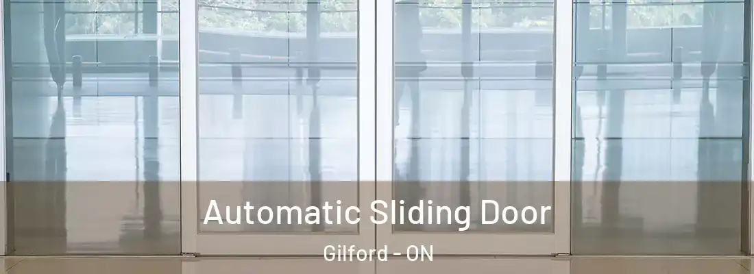  Automatic Sliding Door Gilford - ON