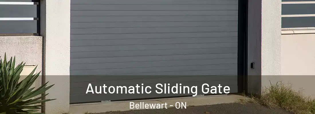  Automatic Sliding Gate Bellewart - ON
