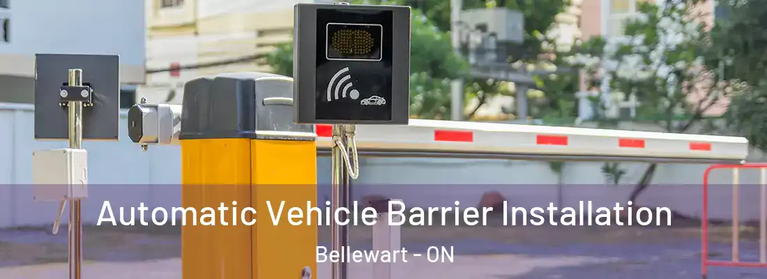  Automatic Vehicle Barrier Installation Bellewart - ON