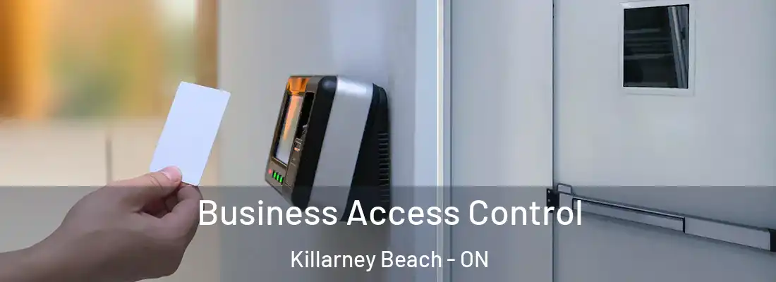  Business Access Control Killarney Beach - ON