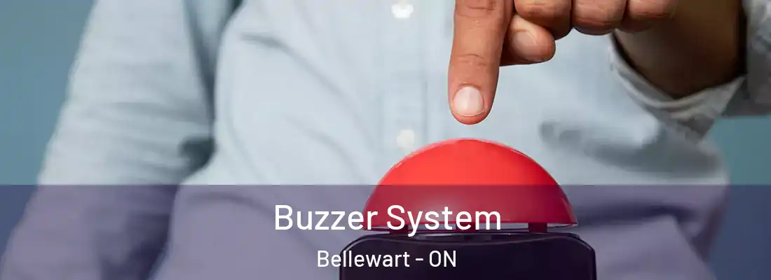  Buzzer System Bellewart - ON
