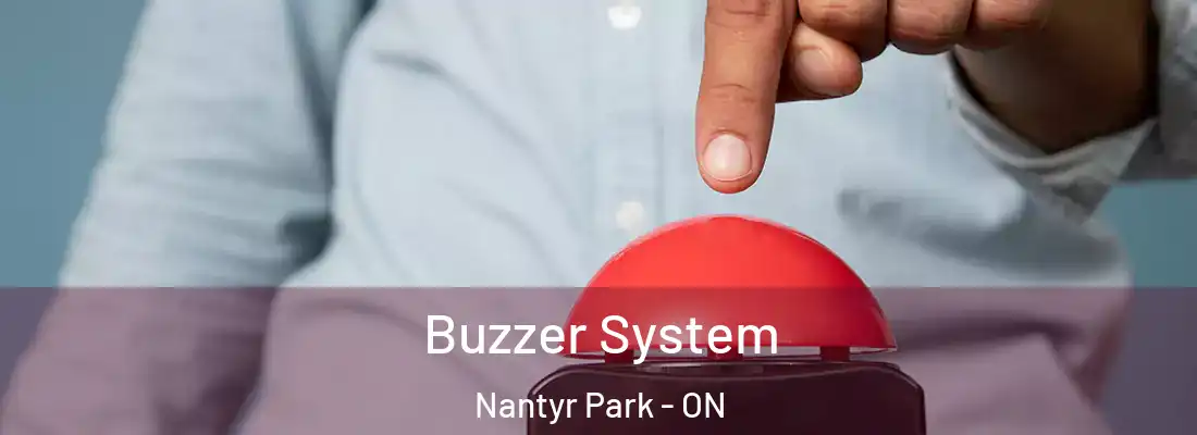  Buzzer System Nantyr Park - ON