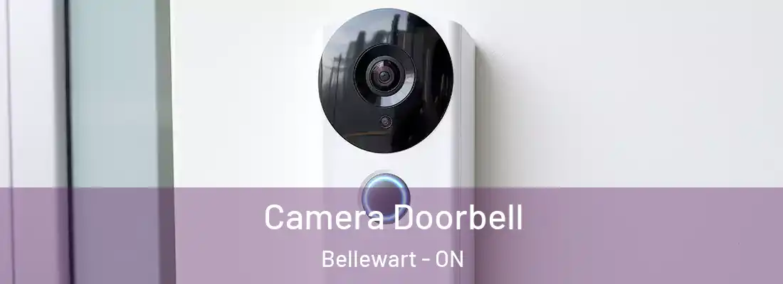  Camera Doorbell Bellewart - ON