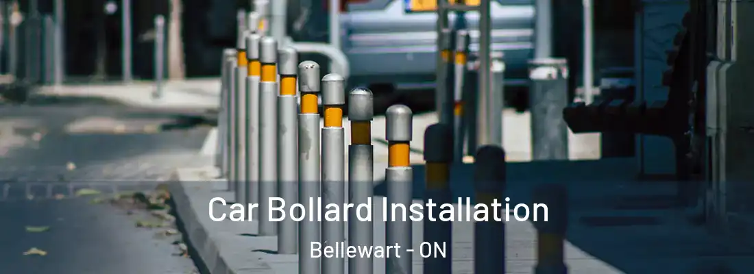  Car Bollard Installation Bellewart - ON