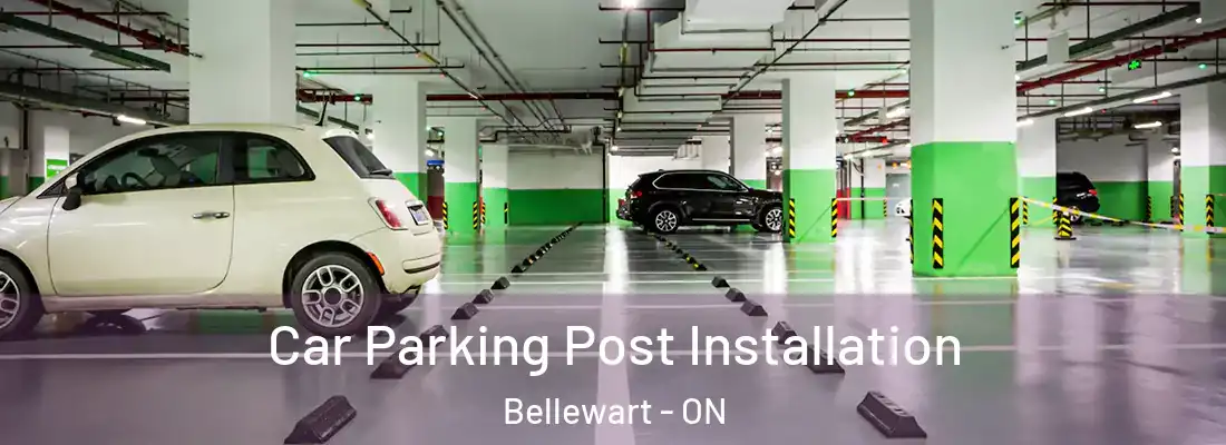  Car Parking Post Installation Bellewart - ON