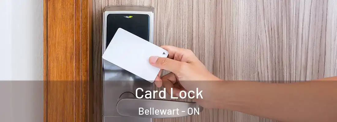  Card Lock Bellewart - ON