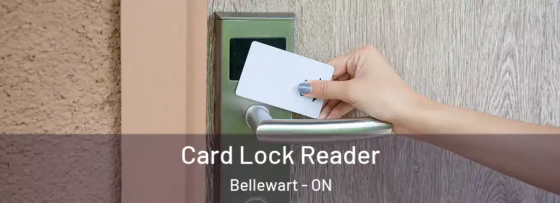  Card Lock Reader Bellewart - ON