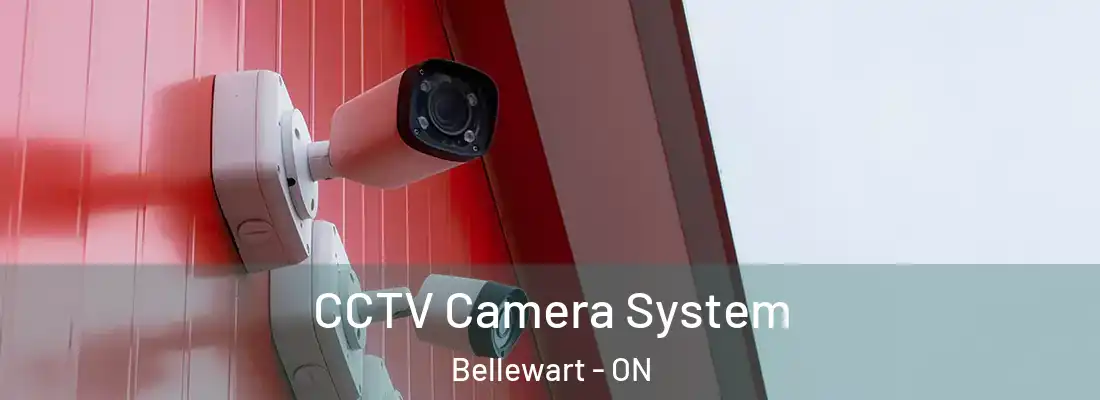  CCTV Camera System Bellewart - ON