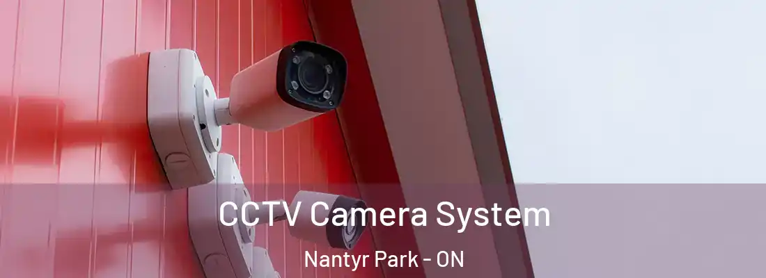  CCTV Camera System Nantyr Park - ON