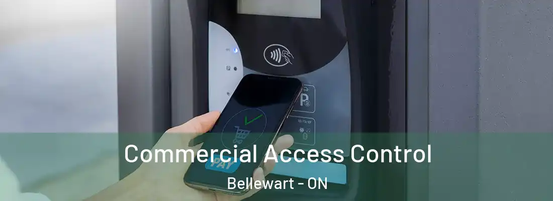  Commercial Access Control Bellewart - ON
