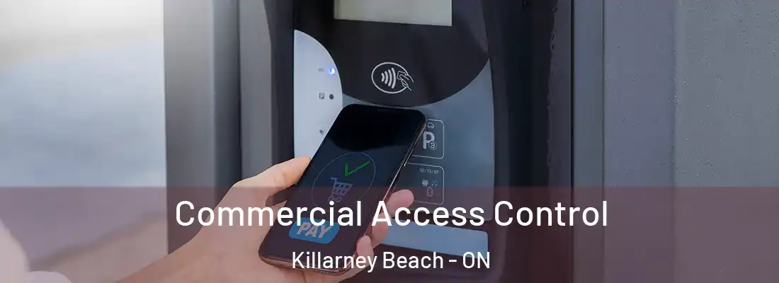  Commercial Access Control Killarney Beach - ON