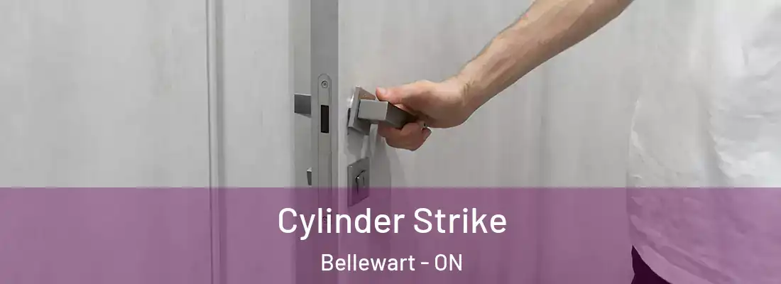  Cylinder Strike Bellewart - ON