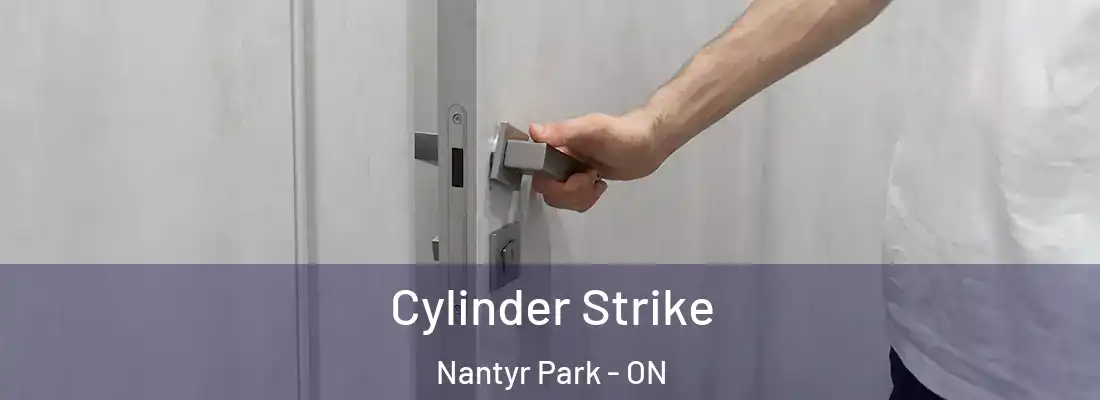  Cylinder Strike Nantyr Park - ON