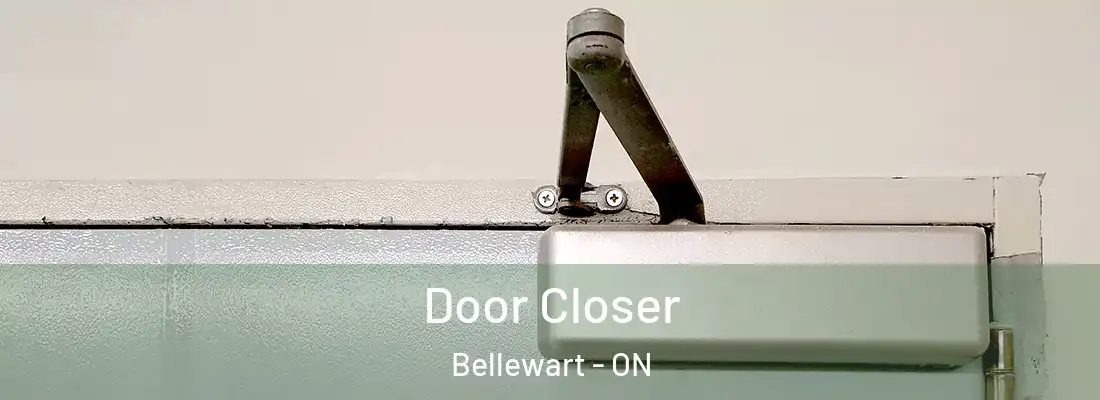  Door Closer Bellewart - ON
