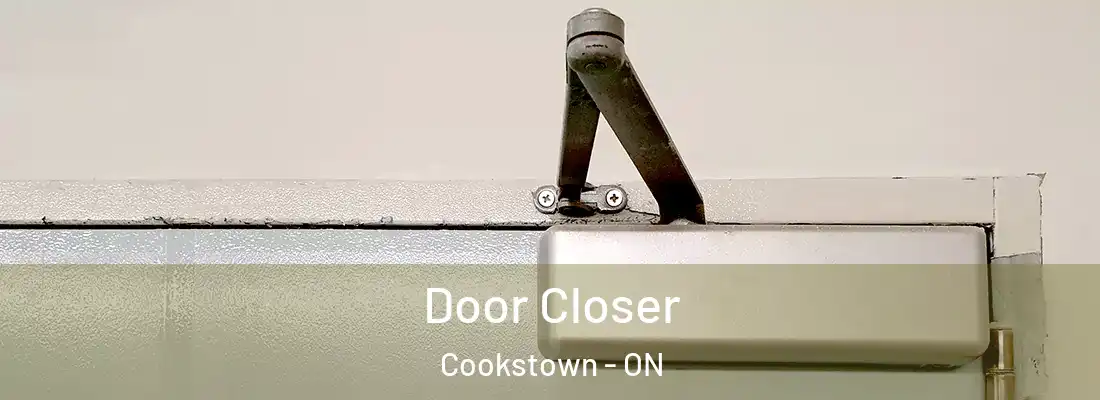  Door Closer Cookstown - ON