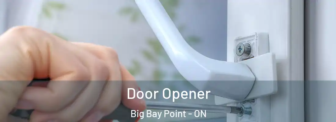  Door Opener Big Bay Point - ON