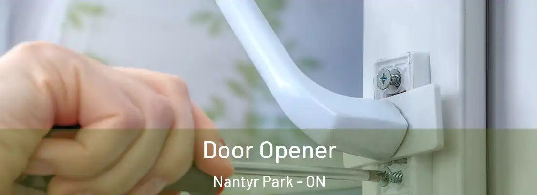  Door Opener Nantyr Park - ON