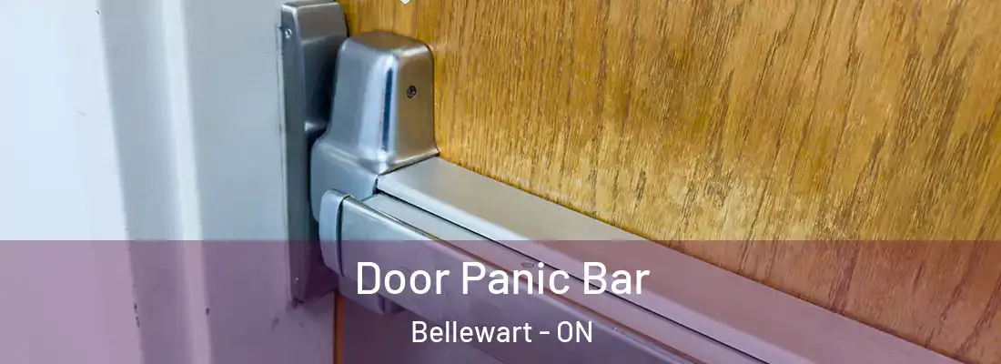  Door Panic Bar Bellewart - ON