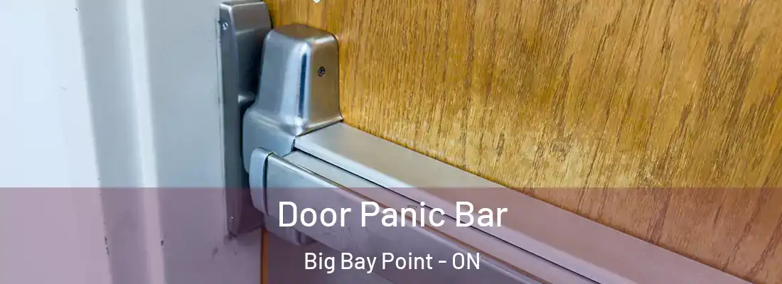  Door Panic Bar Big Bay Point - ON