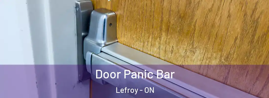  Door Panic Bar Lefroy - ON
