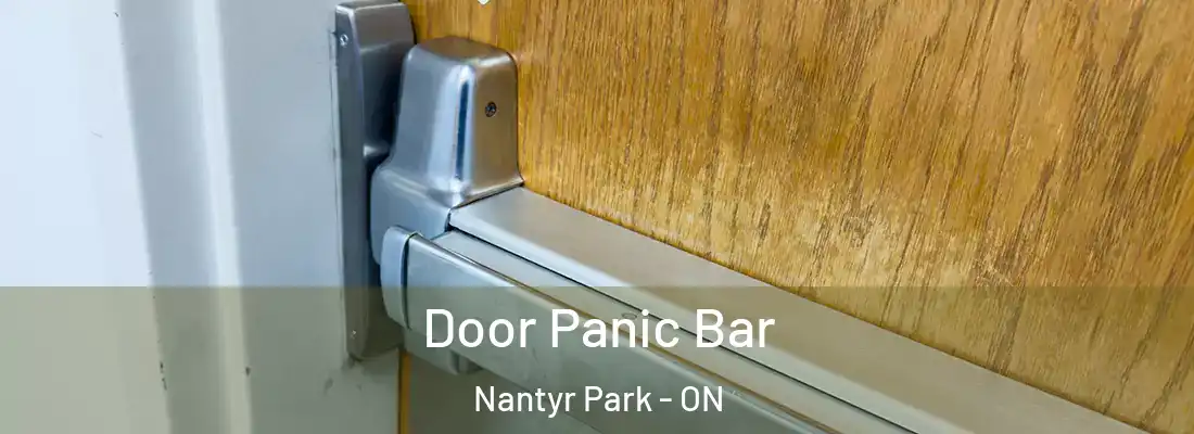  Door Panic Bar Nantyr Park - ON