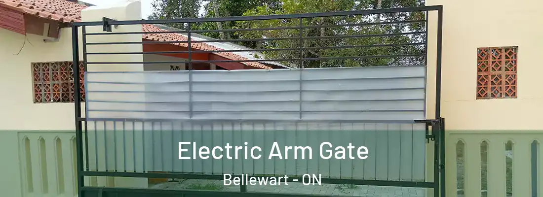 Electric Arm Gate Bellewart - ON
