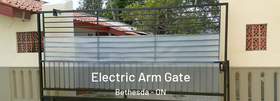  Electric Arm Gate Bethesda - ON