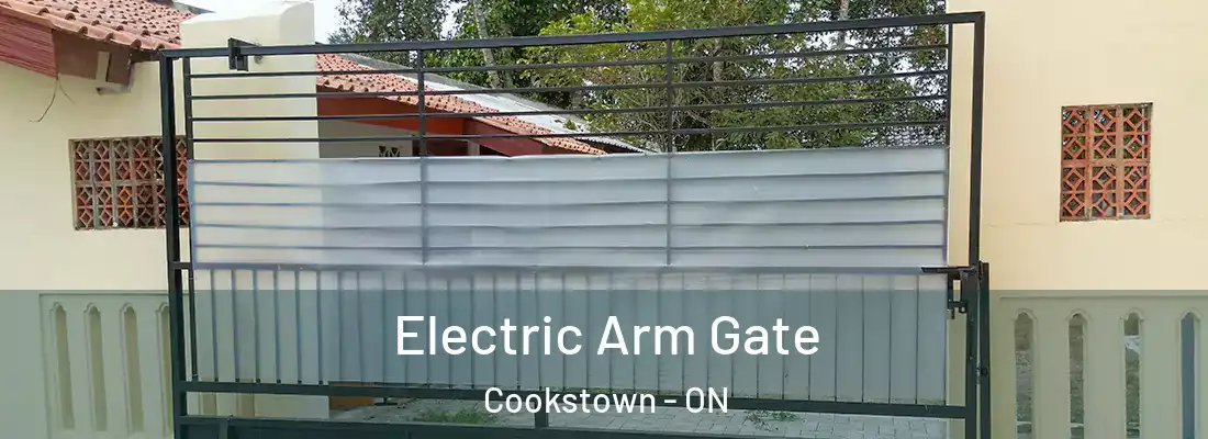  Electric Arm Gate Cookstown - ON