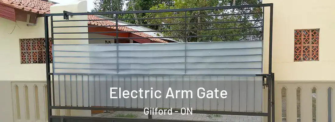  Electric Arm Gate Gilford - ON