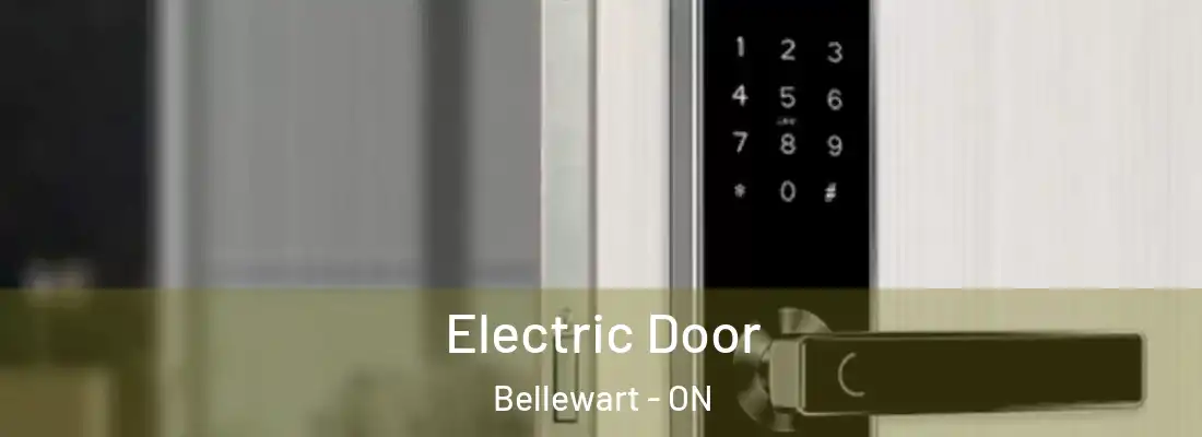  Electric Door Bellewart - ON