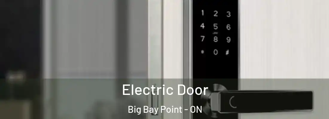  Electric Door Big Bay Point - ON