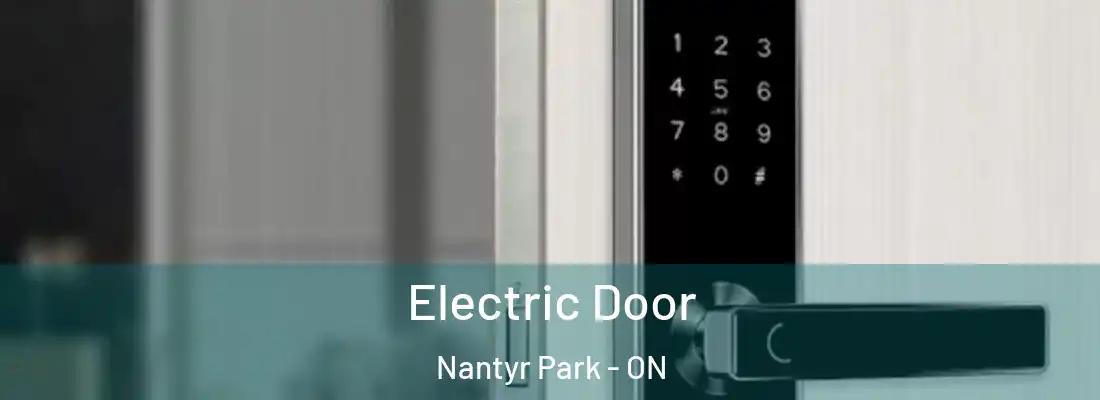  Electric Door Nantyr Park - ON