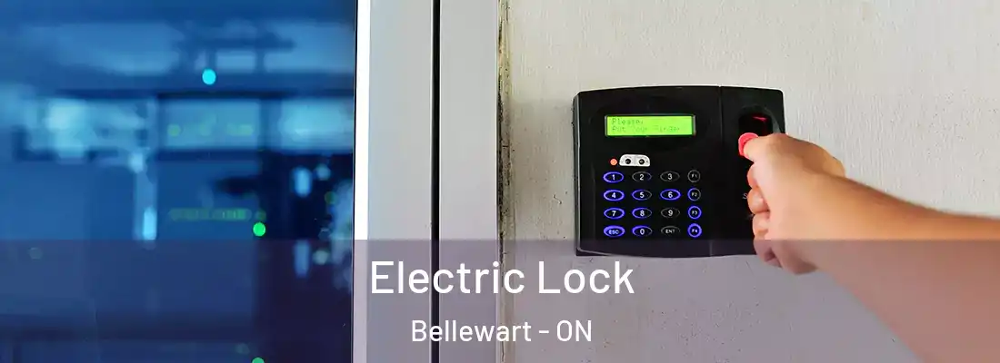  Electric Lock Bellewart - ON