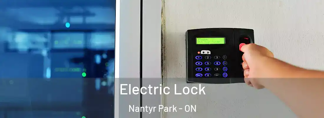  Electric Lock Nantyr Park - ON