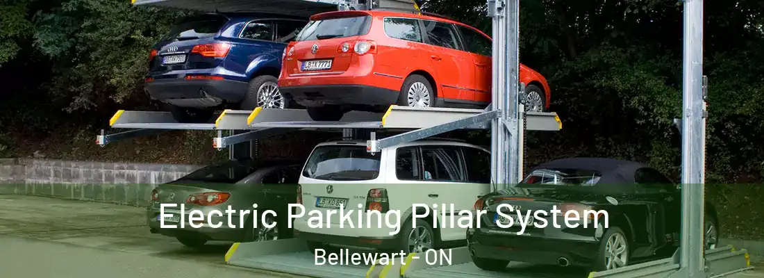  Electric Parking Pillar System Bellewart - ON