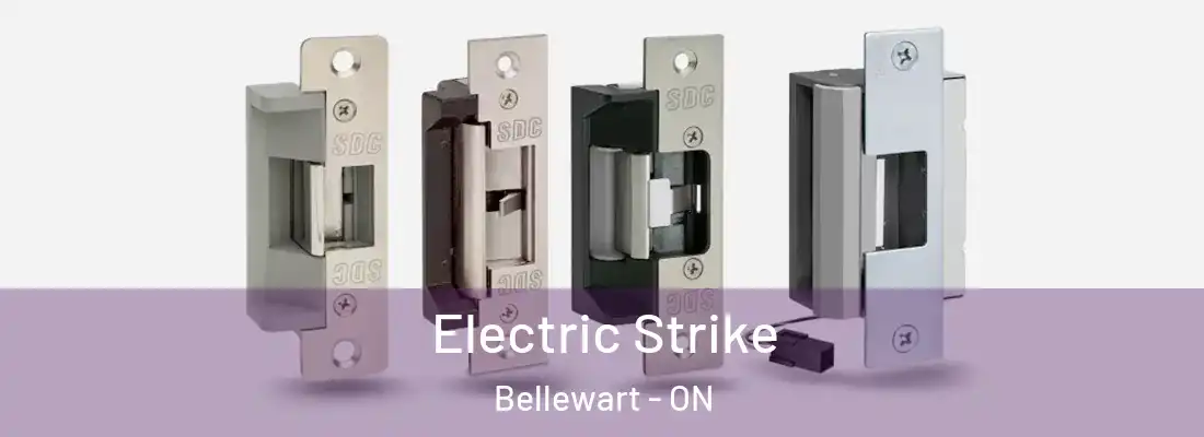  Electric Strike Bellewart - ON