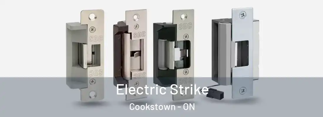  Electric Strike Cookstown - ON