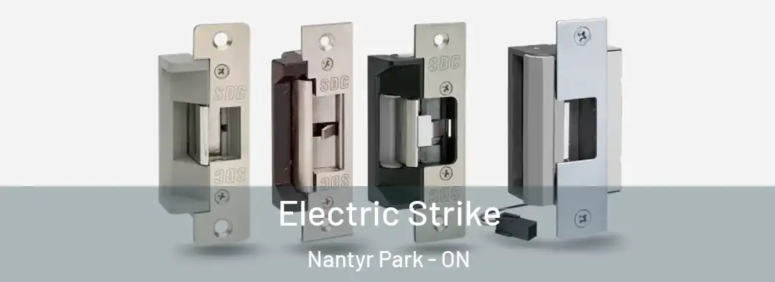  Electric Strike Nantyr Park - ON