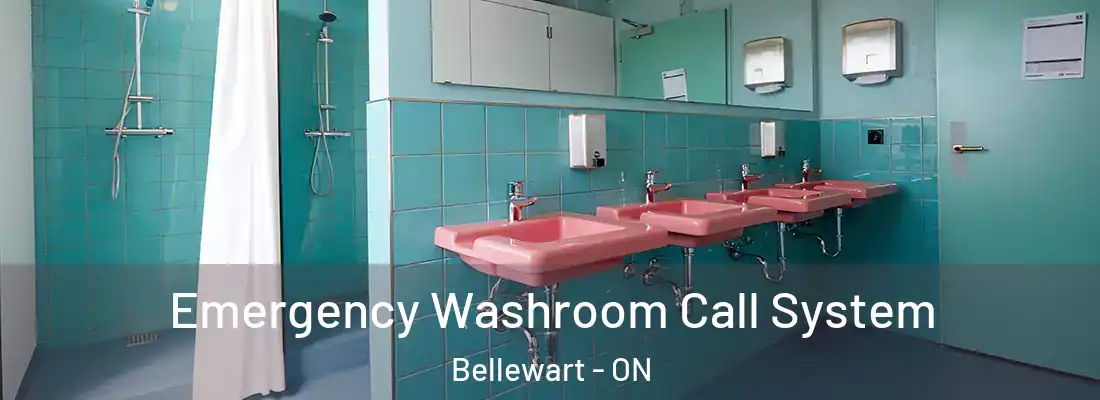  Emergency Washroom Call System Bellewart - ON