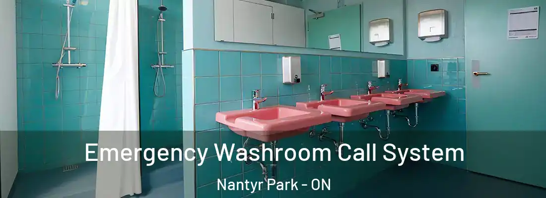  Emergency Washroom Call System Nantyr Park - ON