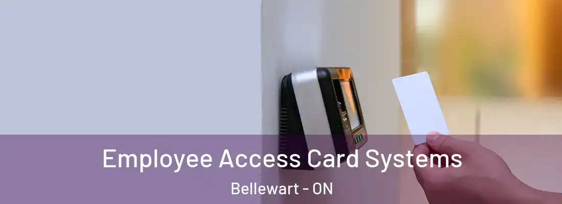  Employee Access Card Systems Bellewart - ON