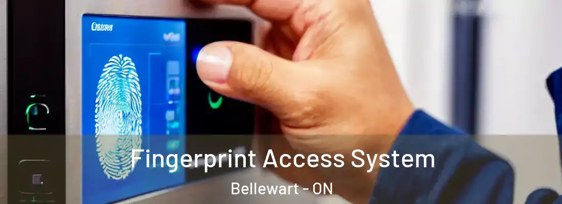  Fingerprint Access System Bellewart - ON