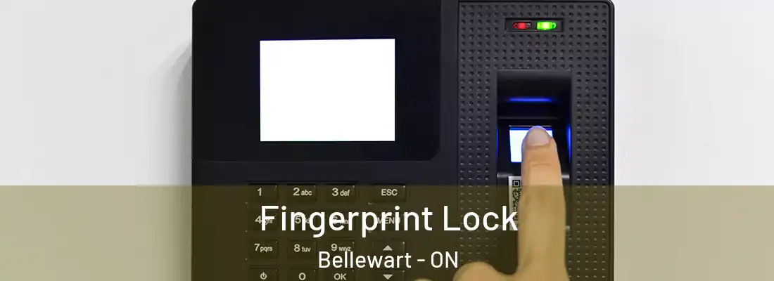  Fingerprint Lock Bellewart - ON
