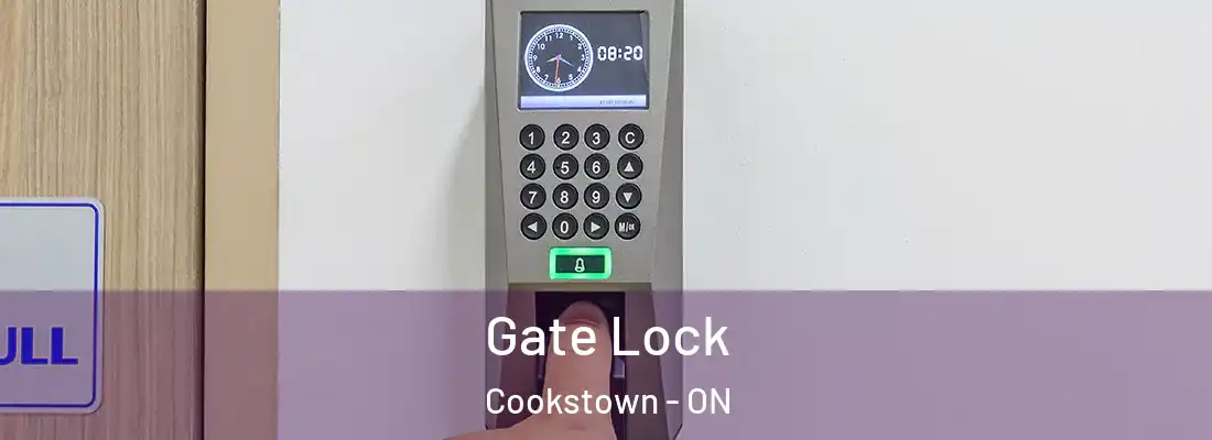  Gate Lock Cookstown - ON