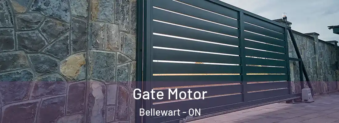  Gate Motor Bellewart - ON