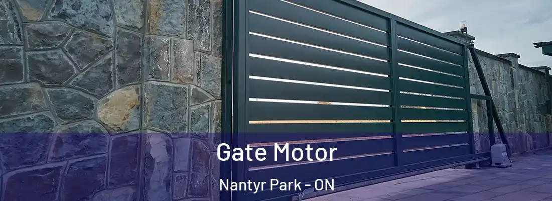  Gate Motor Nantyr Park - ON